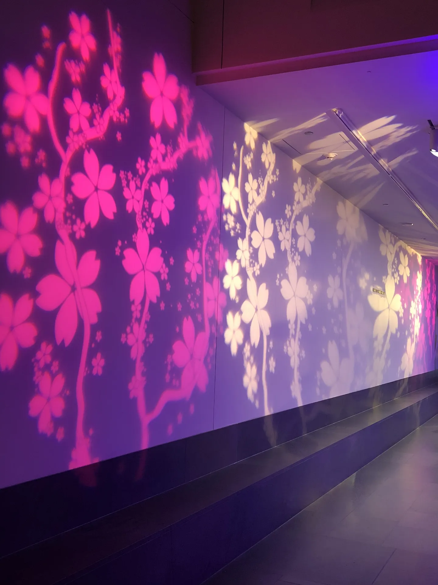 LITM Experiences gallery media