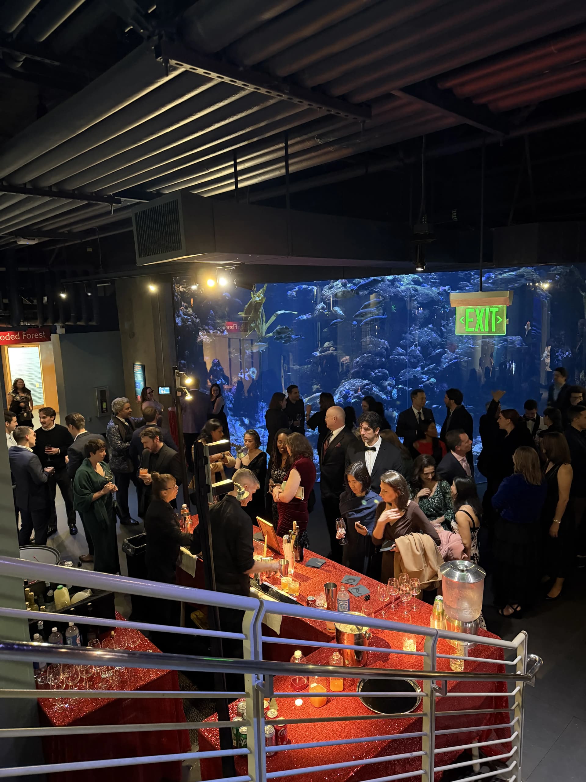 LITM Experiences gallery media