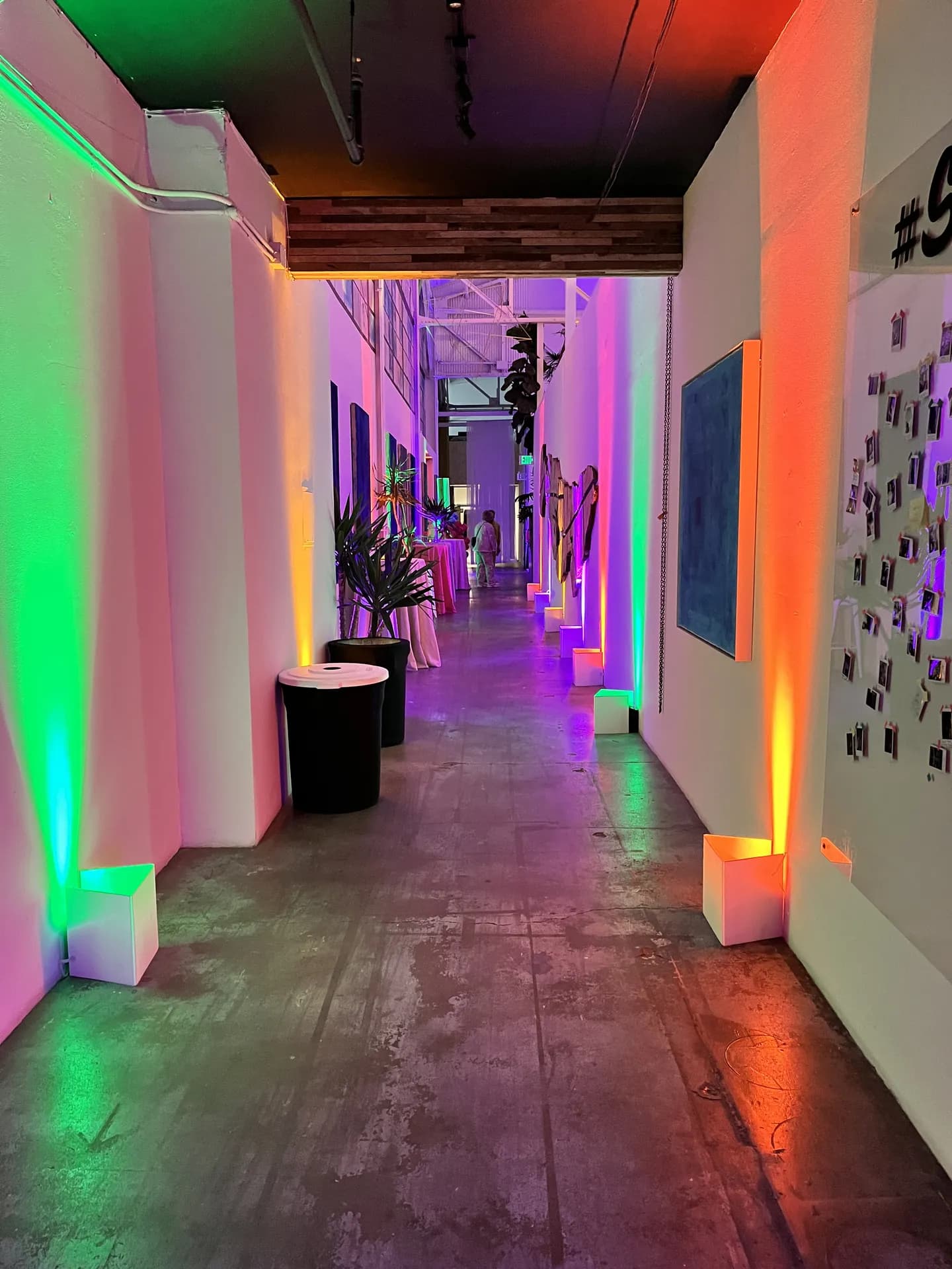 LITM Experiences gallery media