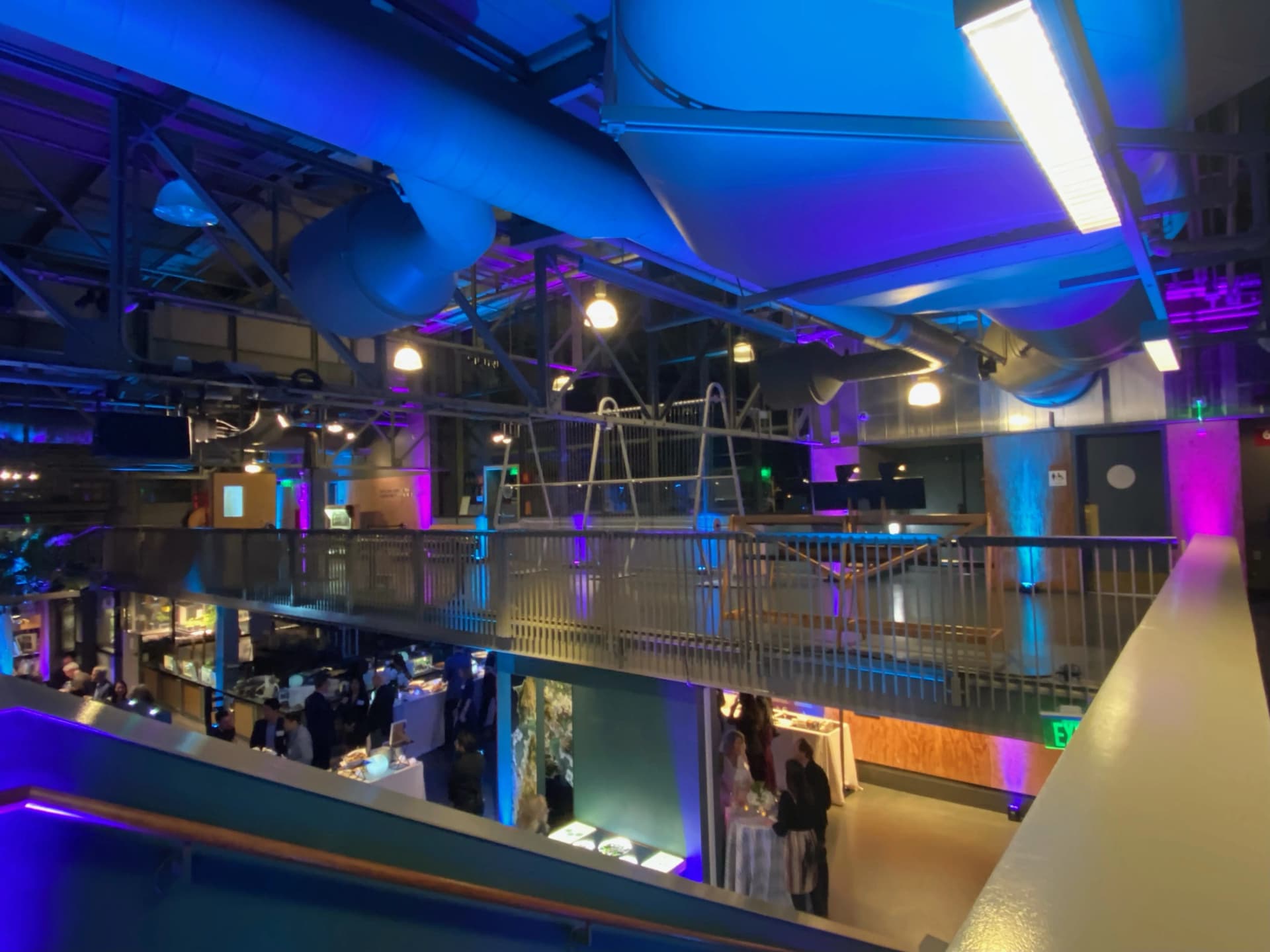LITM Experiences gallery media