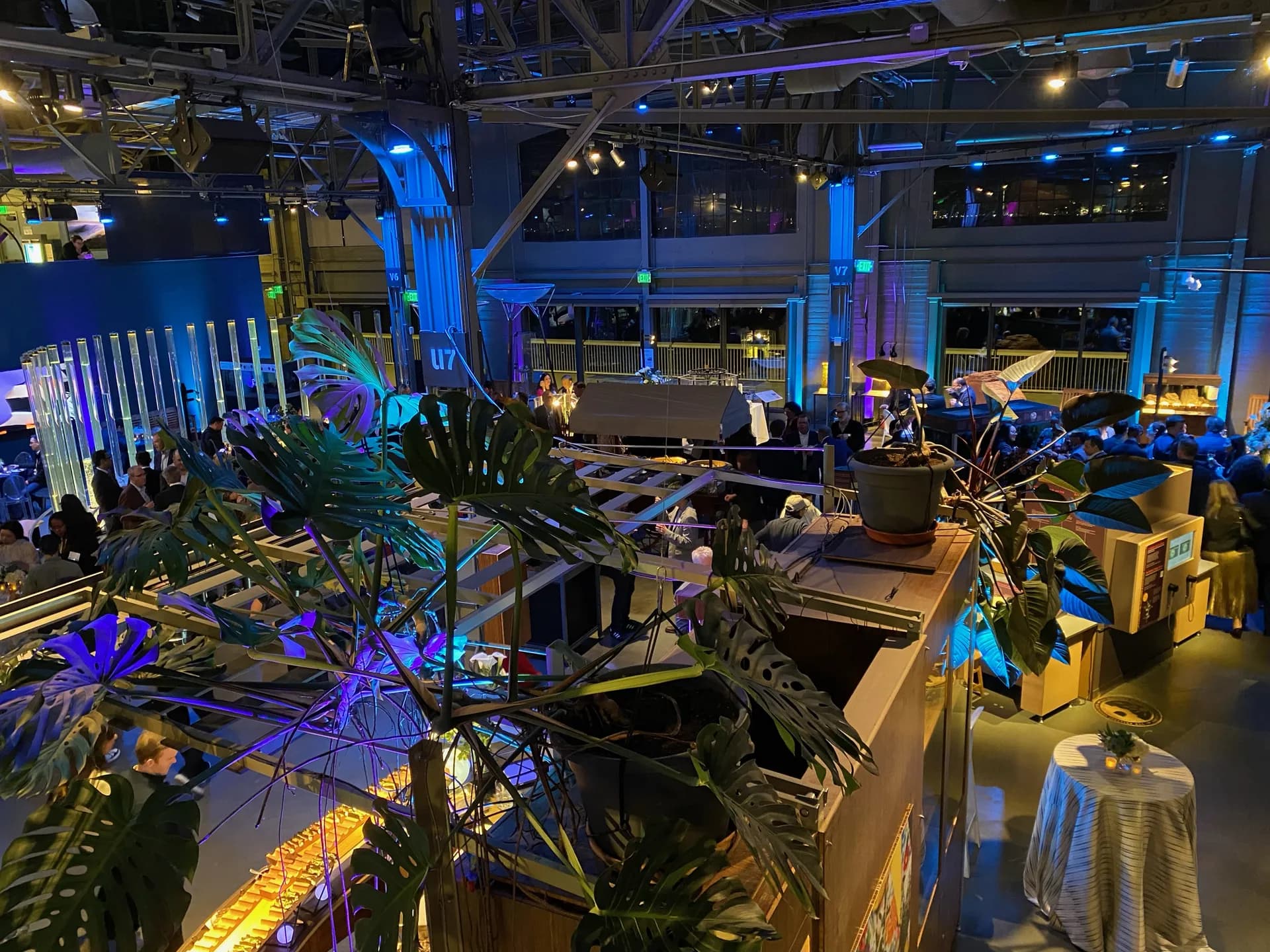LITM Experiences gallery media
