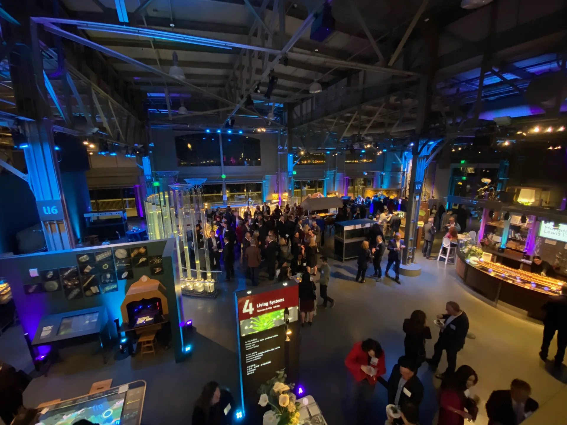 LITM Experiences gallery media