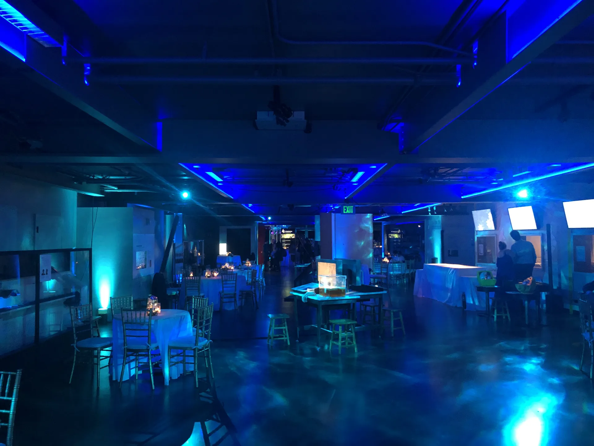 LITM Experiences gallery media
