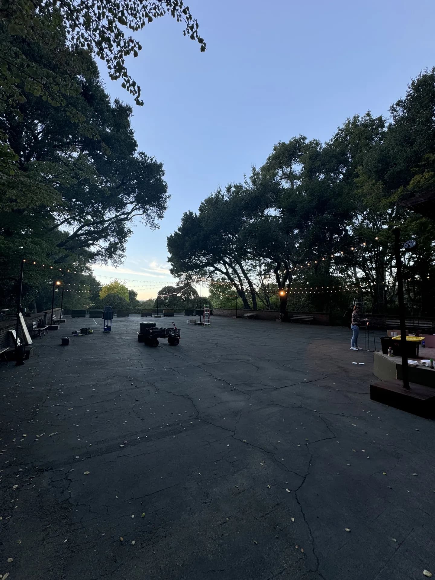 LITM Experiences gallery media