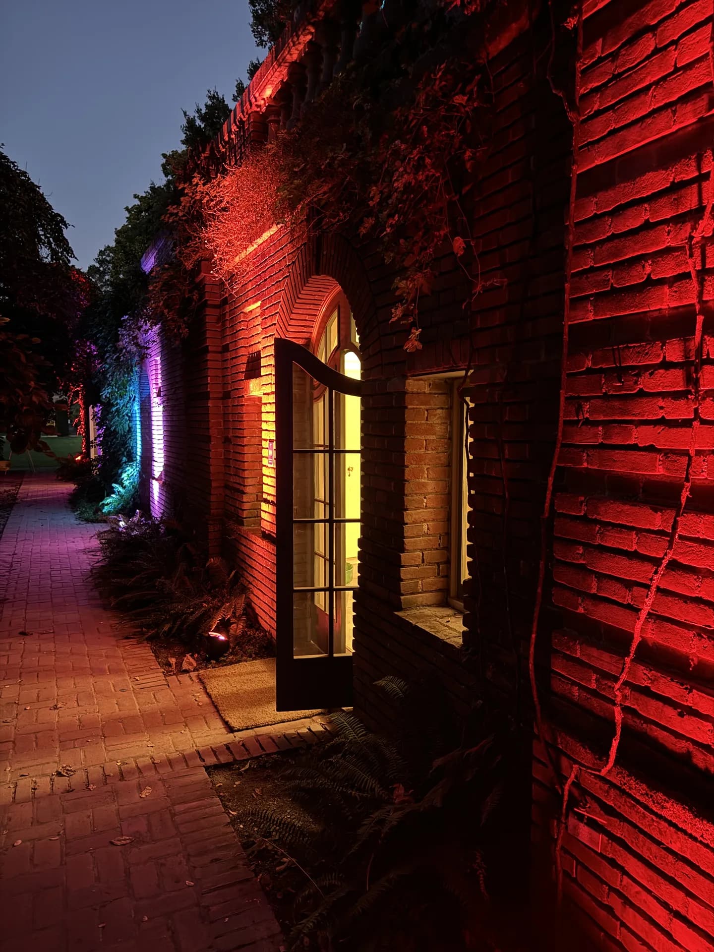 LITM Experiences gallery media