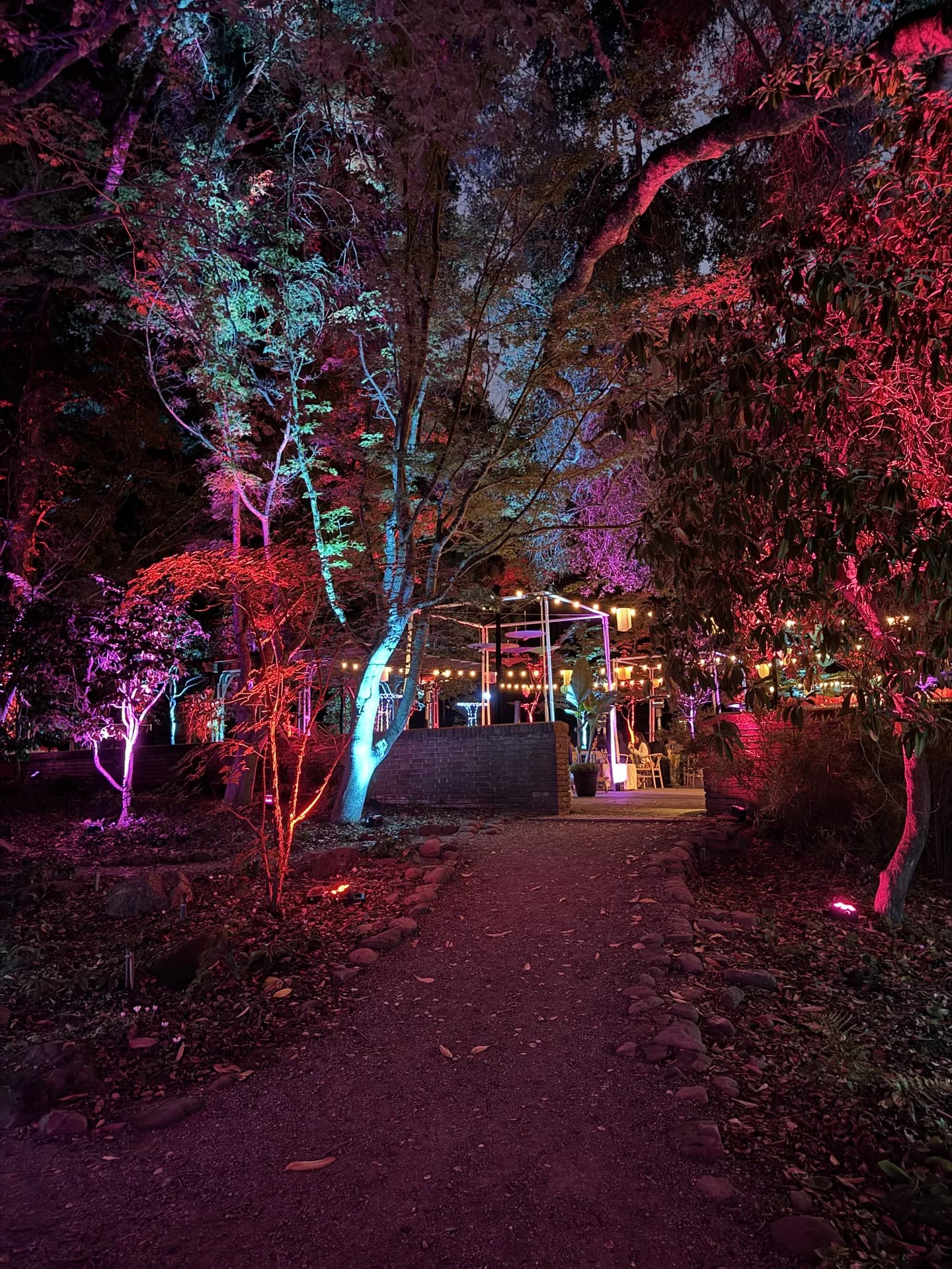 LITM Experiences gallery media