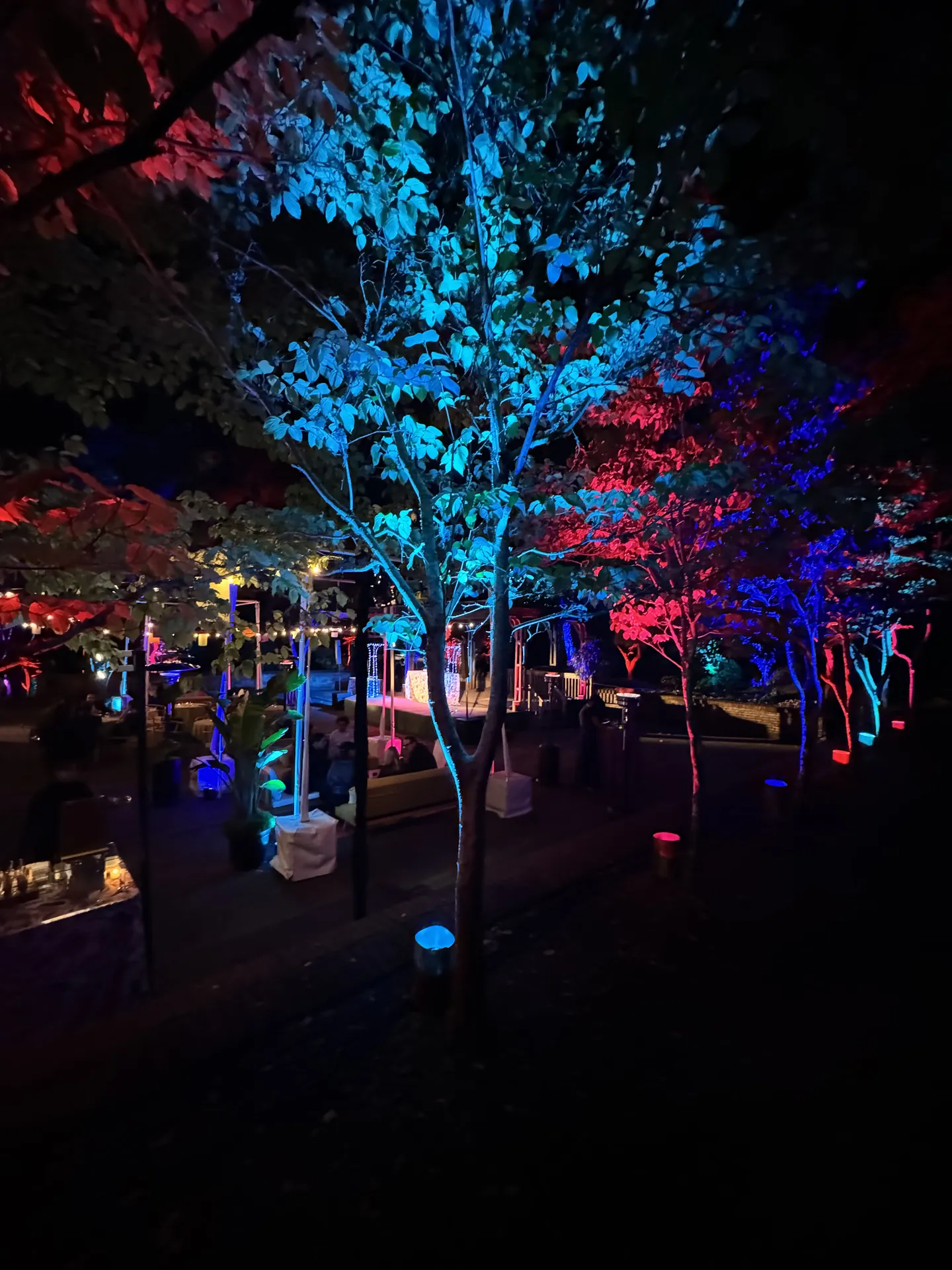 LITM Experiences gallery media